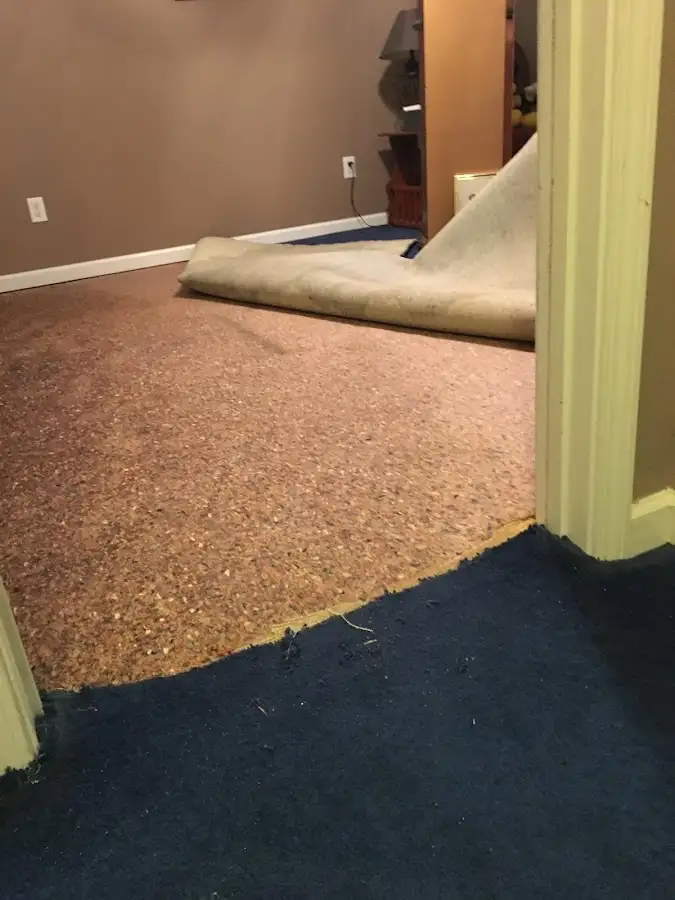 Carpet pad removal revealing water damage during Drying & Dehumidification in Cockeysville