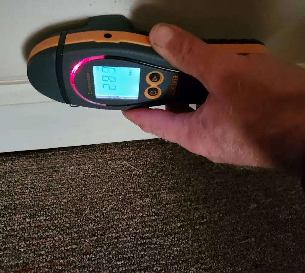 Moisture detection at baseboard during Sewage Cleanup & Sanitation in Cockeysville